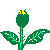rose3.gif (3289 ֽ)