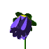 rose7.gif (5977 ֽ)