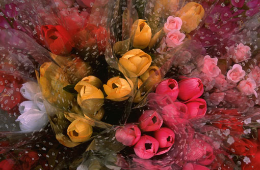 Flowers.jpg (57474 ֽ)