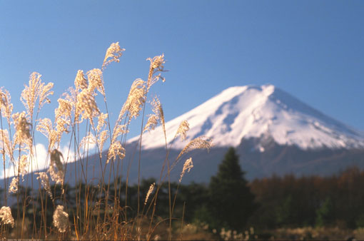 Fuji1.jpg (38012 ֽ)