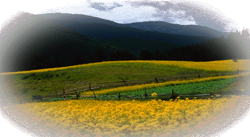 zwjs-gif-2.gif (141480 ֽ)