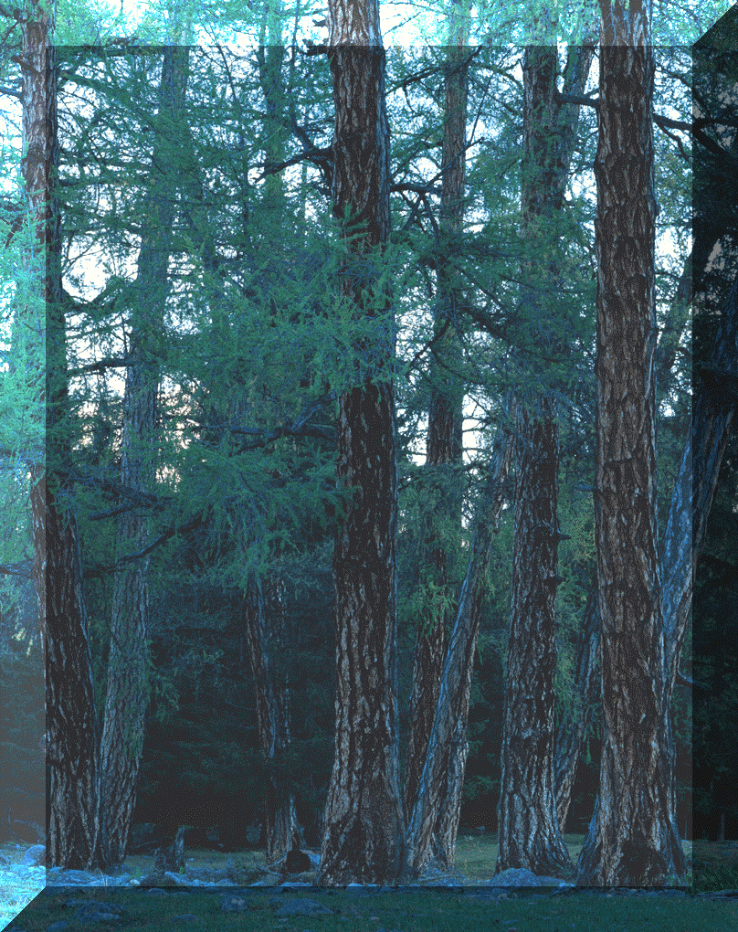 zwjs-gif-3.gif (684756 ֽ)